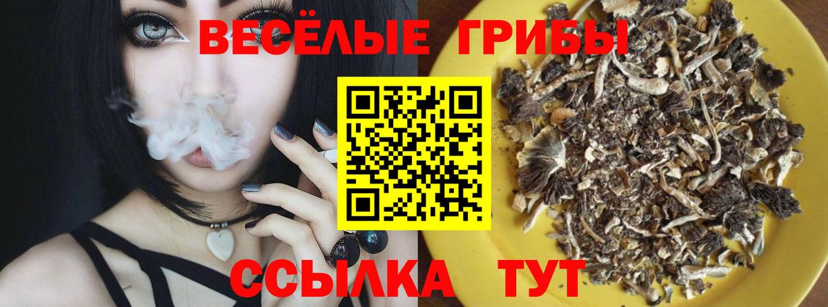 Чита  Псилоцибиновые грибы Psilocybine cubensis  Вход с VPN  Псилоцибиновые грибы мицелий 