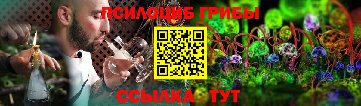 Псилоцибиновые грибы Cubensis Чита